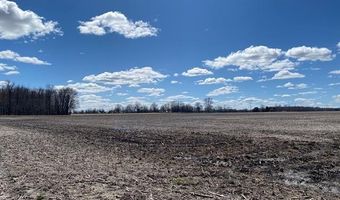 000 Dryden Rd, Almont, MI 48003