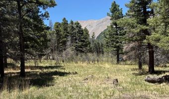 Spanish Peaks Dr, Aguilar, CO 81020