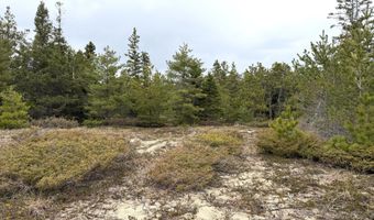 8292 N Point Shrs, Alpena, MI 49707