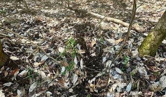 0 Tervin Mill Rd, Andalusia, AL 36421