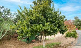 2719 Via Del Robles, Fallbrook, CA 92028