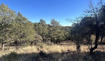 Simmens Ranch Road, Arenas Valley, NM 88061