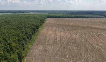 Dawling Bayou Road, Anguilla, MS 38721