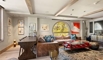 630 E Hyman Avenue Unit 204 & 205 204 & 205, Aspen, CO 81611