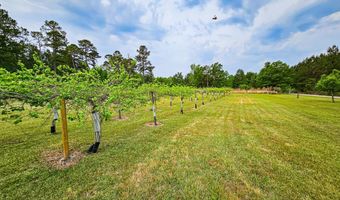 2986 Old Buckhead Rd, Branchville, SC 29432
