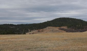 Tract 6 Lone Elk Ranch, Alva, WY 82711