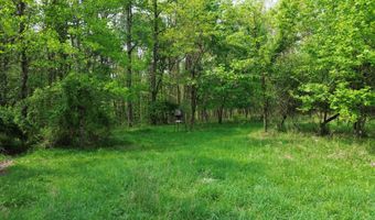 694 A Tunnel Ridge Rd, Argillite, KY 41121