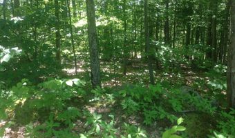 72-1 Frohock Brook Rd, Alton, NH 03810