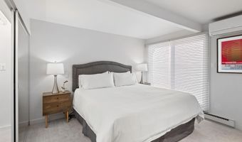 630 E Cooper Ave 2, Aspen, CO 81611