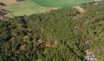 Tbd N COUNTY RD 1491, Alachua, FL 32615