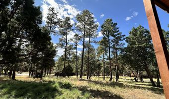 102 Pine Cone Ln Lot 45A, Alto, NM 88312