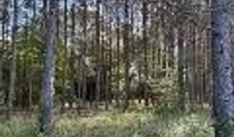 570 Bethany Church Rd, Bainbridge, GA 39817