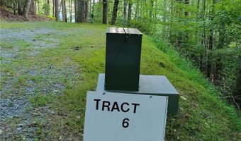 Tract 6 Walnut Ridge, Banner Elk, NC 28604
