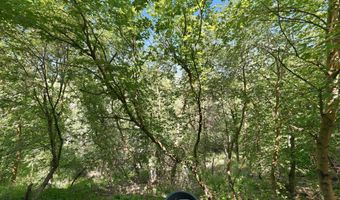 1979 S CAVE HOLLOW Way, Bountiful, UT 84010