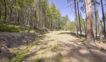 2799 Quines Creek Rd, Azalea, OR 97410
