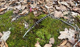 TBD1 E Willow Rd, Bloomfield, IN 47424