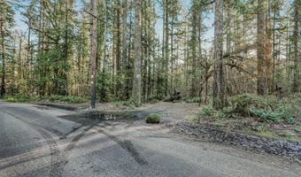 E Barlow Trail Rd, Brightwood, OR 97011