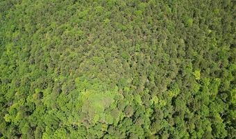 TRACT 38 PIN OAK PATH, Albion, OK 74571