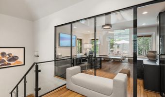 971 Ute Ave, Aspen, CO 81611