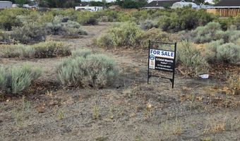 1195 Sarah Belle Ln, Fallon, NV 89406