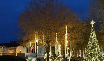 116 Ellis Ave, Abbeville, SC 29620