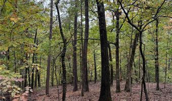 Potter Lane lot 12, Bella Vista, AR 72715