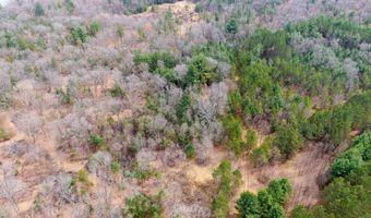 Dover Drive lot 2 +/-43 Ac, Adams, WI 53910