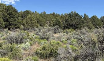 Medicine Mountain Drive 1, Beatty, OR 97621