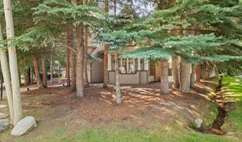 425 W North St, Aspen, CO 81611