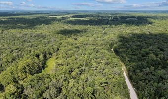 0000 73rd Way, Bell, FL 32619