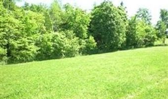 119 Coyote Crest Ln, Augusta, MO 63332
