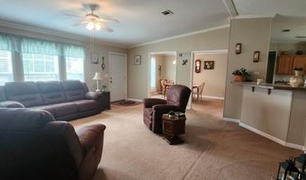 786 Blackberry Rd, Baconton, GA 31716