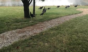 5826 S Morrison Rd, Alger, MI 48610