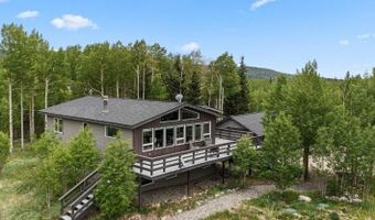 133 GOLD RUN Rd, Alma, CO 80440