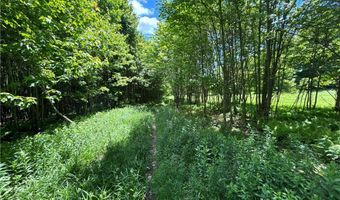 2613 Murphy Hill Rd, Andes, NY 13731