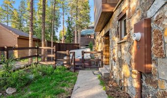 564 WHITE CLOUD Dr, Breckenridge, CO 80424