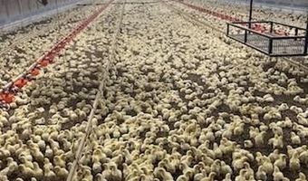 141 Holcomb Spur NW, Adairsville, GA 30103