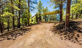 253 Saladon Rd, Angel Fire, NM 87710