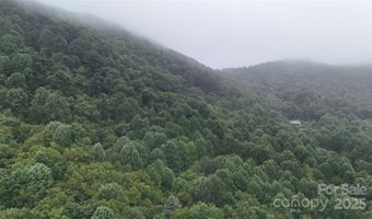 Killdevil Hill Lane unit 9 & 10 9 & 10, Bat Cave, NC 28792