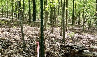 0 County Road 224, Alton, MO 65606