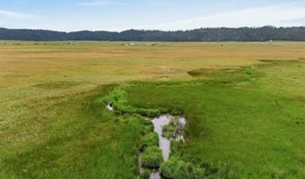 17 Gray Ln, Cascade, ID 83611