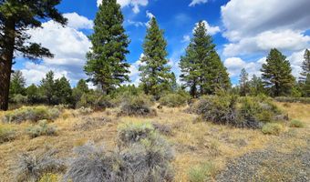 Swan Drive 16 & 17, Bonanza, OR 97623