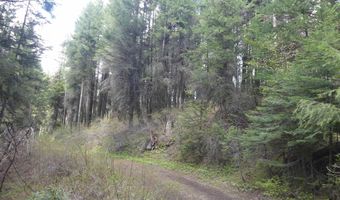 002 Hansen Ridge Rd, Anatone, WA 99401