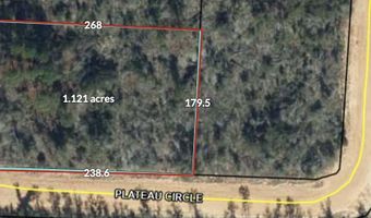 Plateau Circle, Alford, FL 32420
