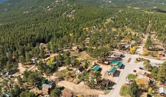 40 Ski Rd, Allenspark, CO 80510