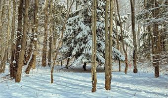 00 Fawn Lake Rd, Addison, NY 14801