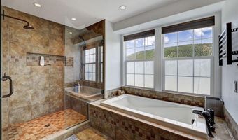 261 COUNTY ROAD 6, Alma, CO 80420