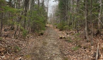 0 Clarks/Woodland Trl 409-4, Alexandria, NH 03220
