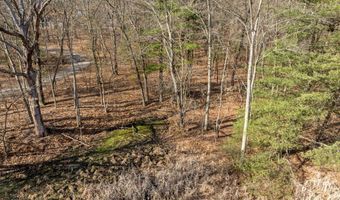 8965 Vergennes St SE, Ada, MI 49301