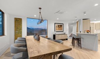 699 Eppley Dr, Aspen, CO 81611